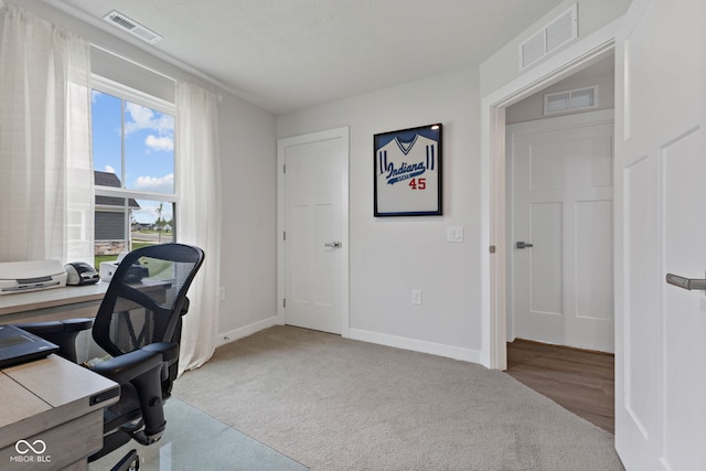 7051 E Bean Blossom Dr, Camby, IN 46113 - office space featuring baseboards and carpet flooring
