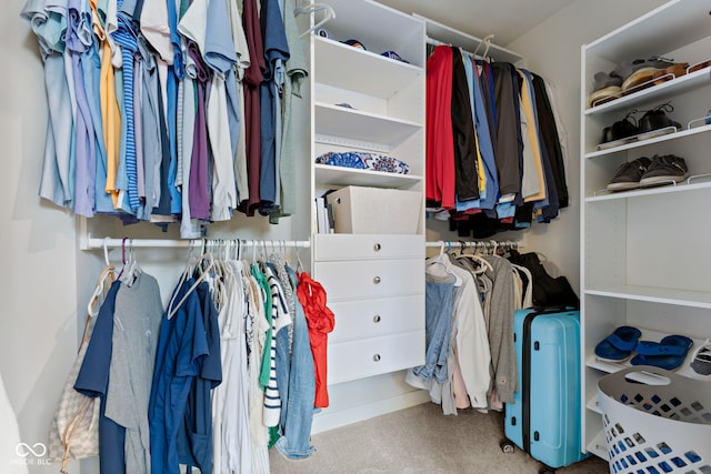 7051 E Bean Blossom Dr, Camby, IN 46113 - view of spacious closet