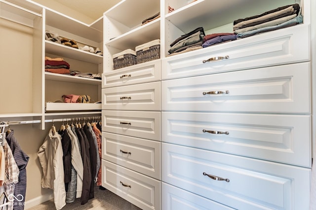 16072 Barringer Ct, Westfield, IN 46074 - walk in closet featuring carpet