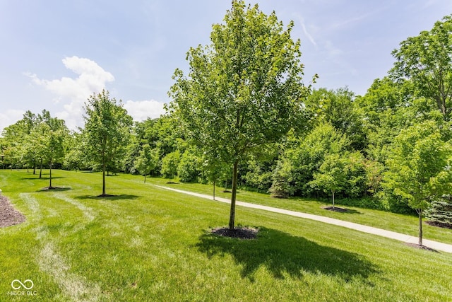 16072 Barringer Ct, Westfield, IN 46074 - view of community with a lawn