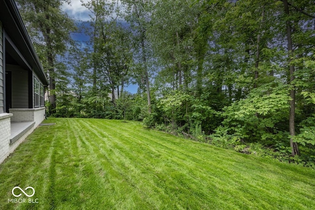 12511 Lowery Way, Fishers, IN 46037 - photo 25