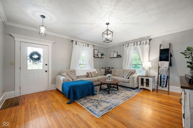 2708 N 400 E, Greenfield, IN 46140 - living area with light wood-type flooring, baseboards, a chandelier, crown molding, and a textured ceiling