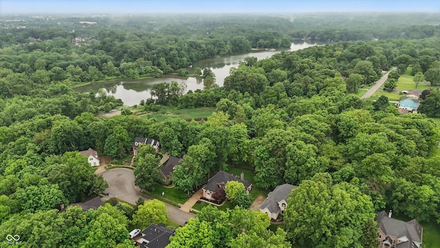 7138 Nile Ridge Ct, Indianapolis, IN 46236 - aerial view of property and surrounding area featuring a nearby body of water and a forest