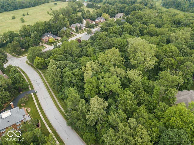 6363 Harmonridge Ct, Indianapolis, IN 46278 - aerial view of a forest