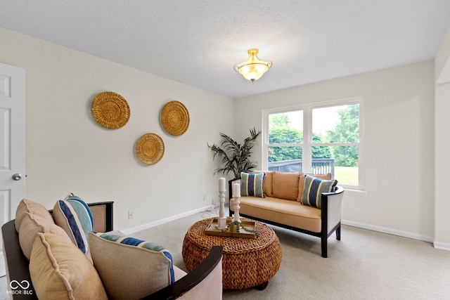 3014 Saddlehorn Dr, Carmel, IN 46033 - living area with carpet floors and baseboards