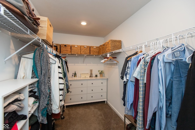 527 Macintosh Ln, Danville, IN 46122 - walk in closet with dark carpet