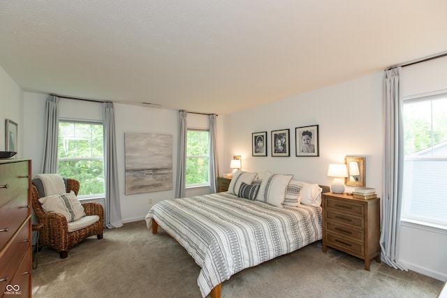 527 Macintosh Ln, Danville, IN 46122 - bedroom with carpet, multiple windows, and baseboards