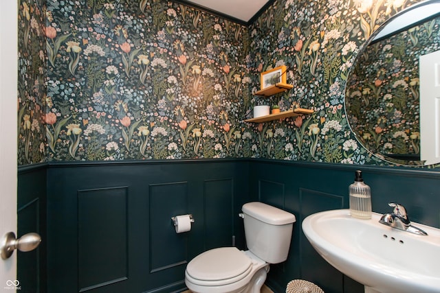 527 Macintosh Ln, Danville, IN 46122 - bathroom with wallpapered walls, wainscoting, a sink, toilet, and a decorative wall