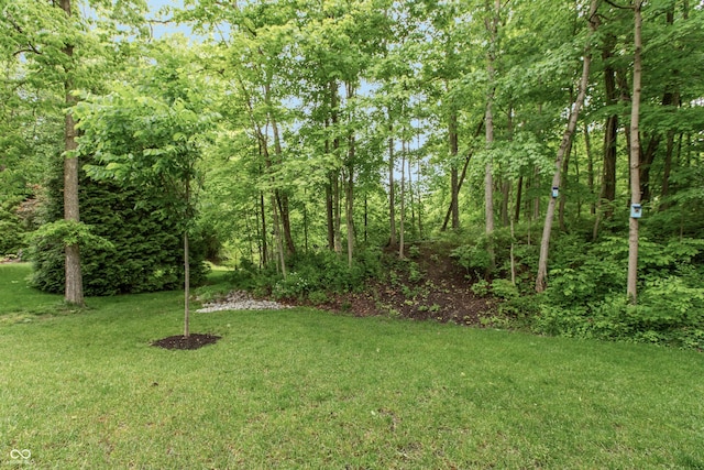 527 Macintosh Ln, Danville, IN 46122 - view of grassy yard