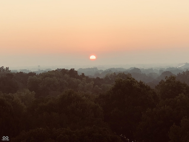 4000 N Meridian St Apt 11D, Indianapolis, IN 46208 - nature at dusk featuring a forest view
