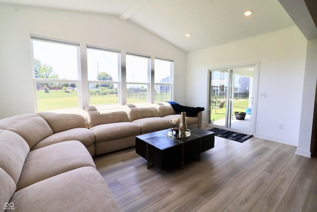 9640 Katana Cir, Fishers, IN 46040 - living room featuring light wood-style floors, recessed lighting, and baseboards