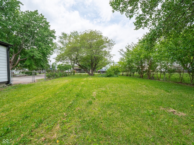 1141 Temperance Ave, Indianapolis, IN 46203 - view of yard