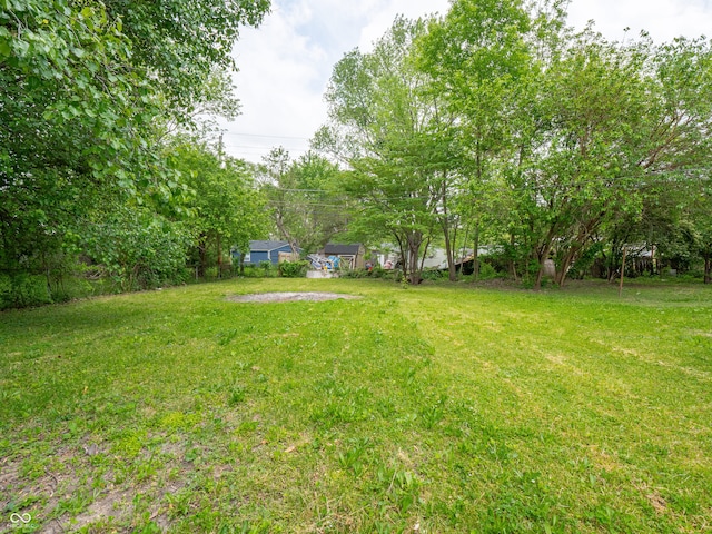 1141 Temperance Ave, Indianapolis, IN 46203 - view of yard