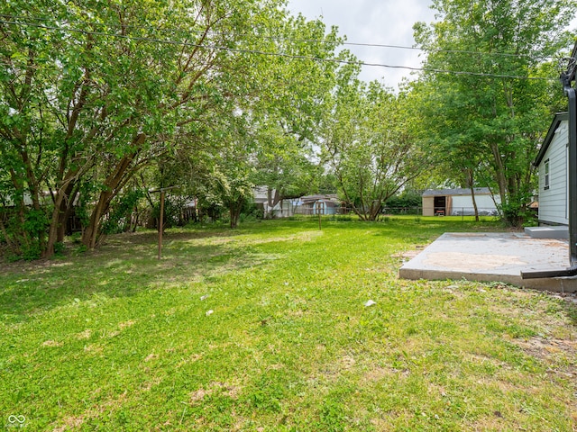 1141 Temperance Ave, Indianapolis, IN 46203 - view of yard