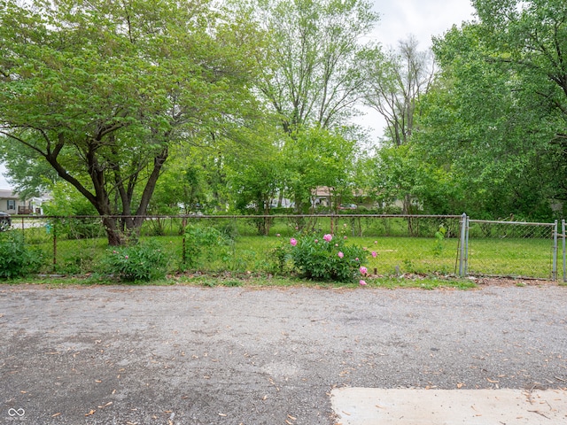 1141 Temperance Ave, Indianapolis, IN 46203 - view of yard