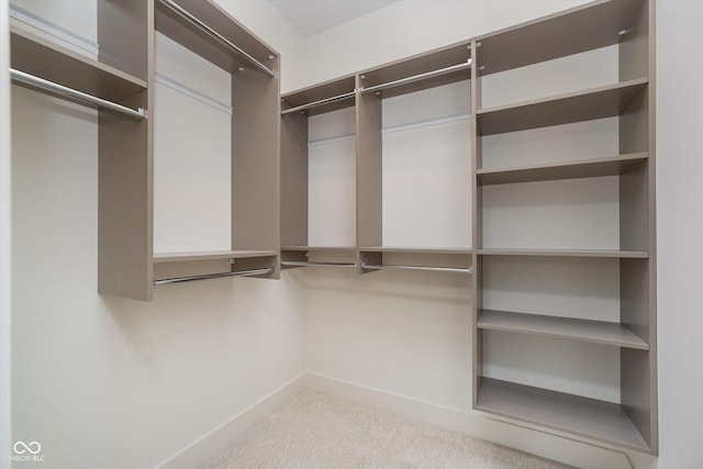 1822 Central Ave, Indianapolis, IN 46202 - walk in closet featuring carpet floors