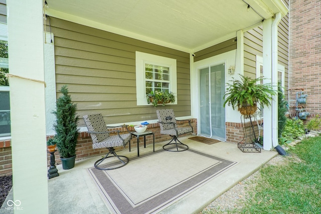 9743 Herons Cv, Carmel, IN 46280 - view of patio