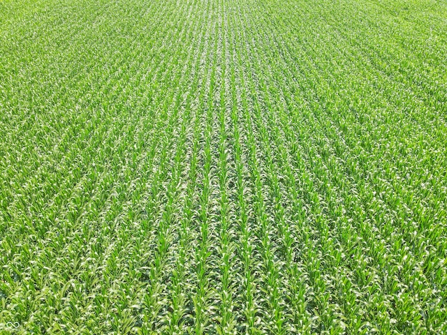 9 S 800 W, Modoc, IN 47358 - photo 13