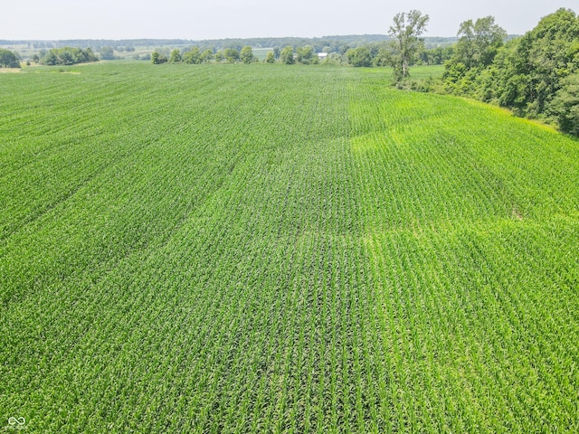 9 S 800 W, Modoc, IN 47358 - photo 11