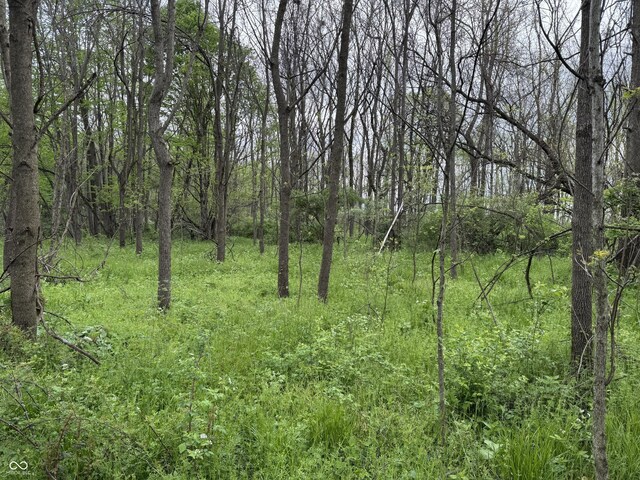 16952 Bookout Rd, Hagerstown, IN 47346 - view of tree filled area