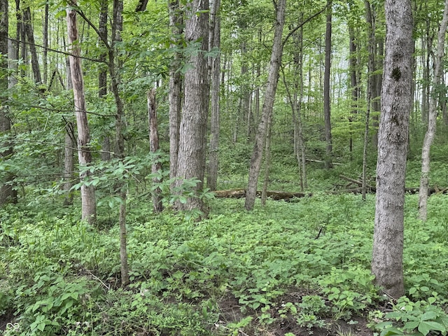 16952 Bookout Rd, Hagerstown, IN 47346 - view of wooded area