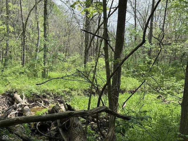 16952 Bookout Rd, Hagerstown, IN 47346 - view of tree filled area