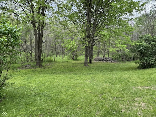 16952 Bookout Rd, Hagerstown, IN 47346 - view of grassy yard featuring a view of trees