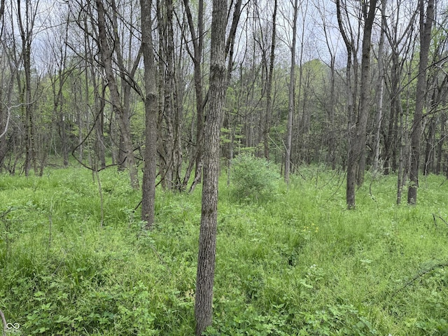 16952 Bookout Rd, Hagerstown, IN 47346 - view of woods