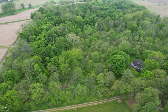 16952 Bookout Rd, Hagerstown, IN 47346 - aerial overview of property's location featuring rural landscape and a forest