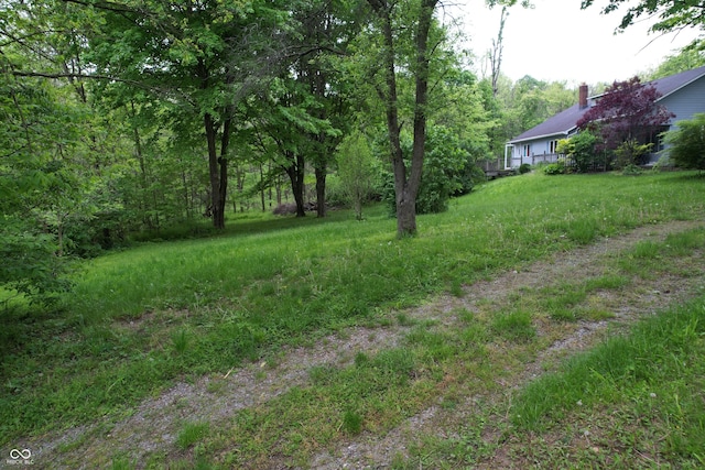 16952 Bookout Rd, Hagerstown, IN 47346 - view of yard