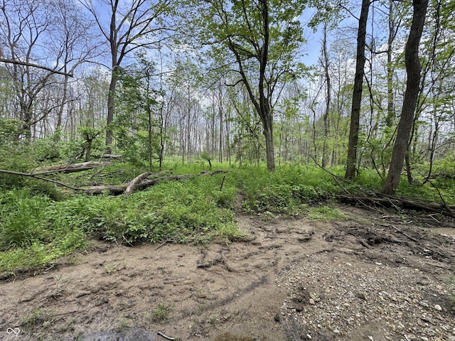 16952 Bookout Rd, Hagerstown, IN 47346 - view of nature