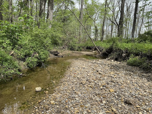 16952 Bookout Rd, Hagerstown, IN 47346 - view of nature