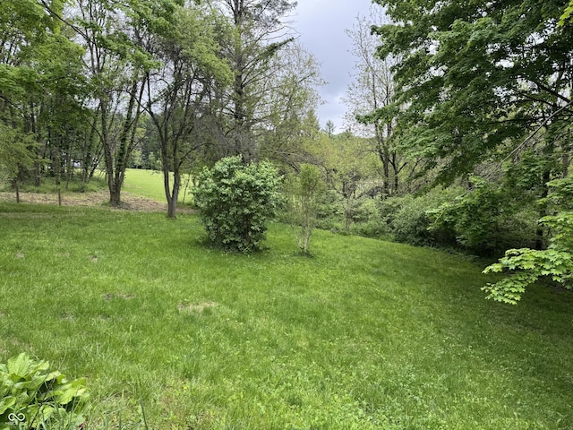 16952 Bookout Rd, Hagerstown, IN 47346 - view of grassy yard