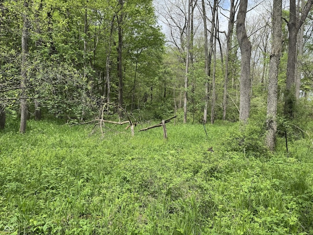 16952 Bookout Rd, Hagerstown, IN 47346 - view of undeveloped land
