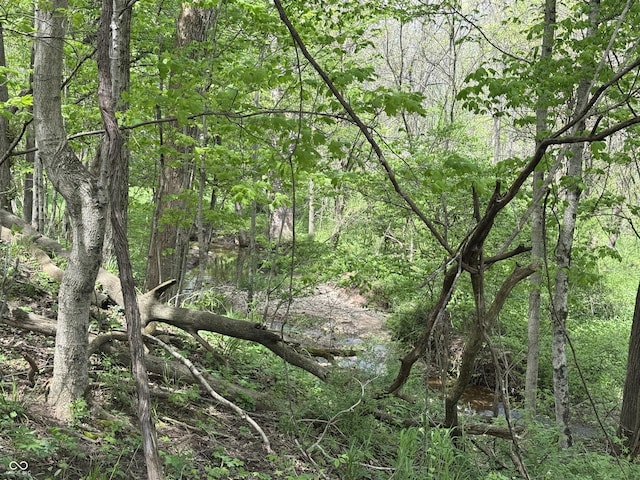 16952 Bookout Rd, Hagerstown, IN 47346 - view of woods