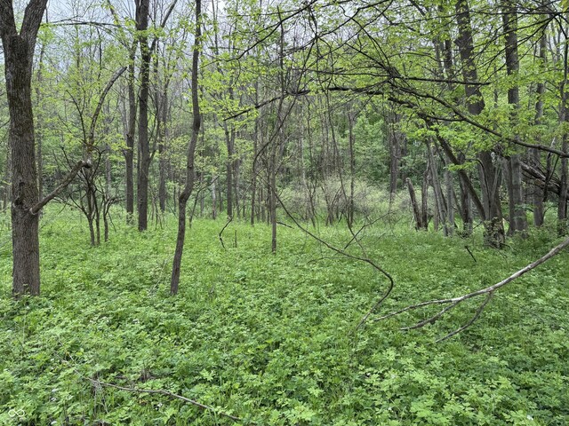 16952 Bookout Rd, Hagerstown, IN 47346 - view of wooded area