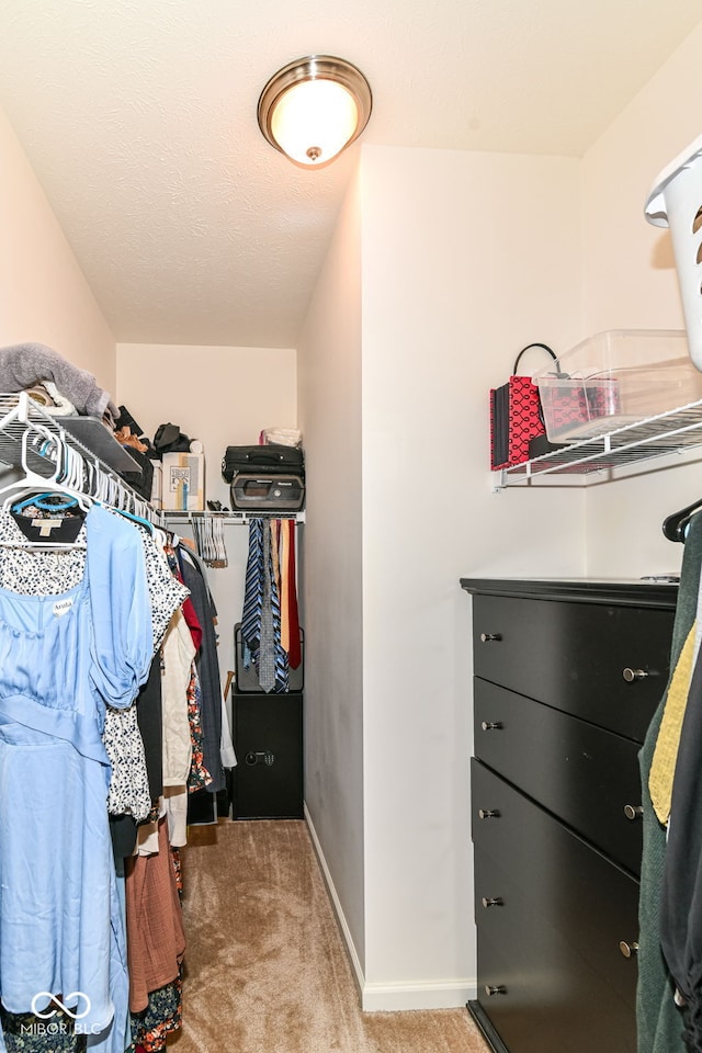 6556 Sulgrove Pl, Indianapolis, IN 46221 - spacious closet with light colored carpet