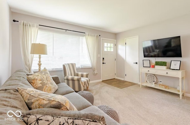 1398 Clinton St, Noblesville, IN 46060 - living area featuring carpet flooring and baseboards