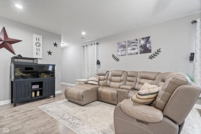 13321 N White Cloud Ct, Camby, IN 46113 - living area with wood finished floors, recessed lighting, and baseboards