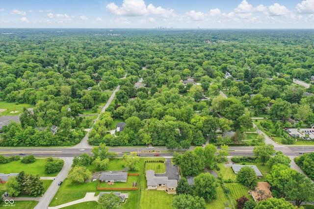 126 E 86th St, Indianapolis, IN 46240 - bird's eye view of a forest