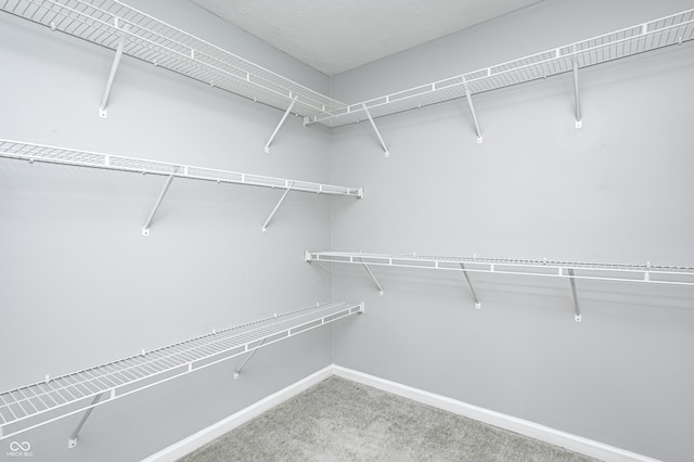 148 S 3rd Ave, Beech Grove, IN 46107 - spacious closet with carpet