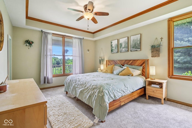 3564 Clear Creek Blvd, Martinsville, IN 46151 - bedroom featuring a raised ceiling, light carpet, multiple windows, and crown molding