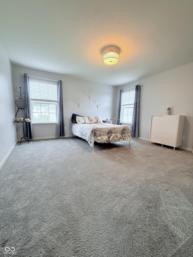 2337 Hanover Rd, Brownsburg, IN 46112 - photo 37