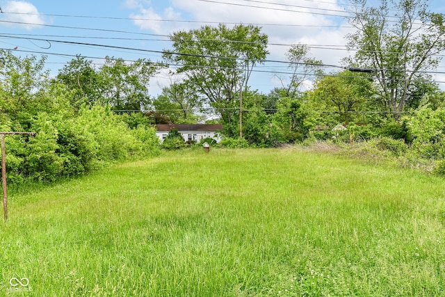 6238 E 43rd St, Indianapolis, IN 46226 - view of yard