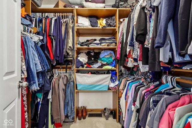 4434 W Windsong Ct, New Palestine, IN 46163 - view of spacious closet