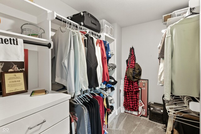 4808 Lakeview Dr, Greenwood, IN 46143 - walk in closet with carpet floors