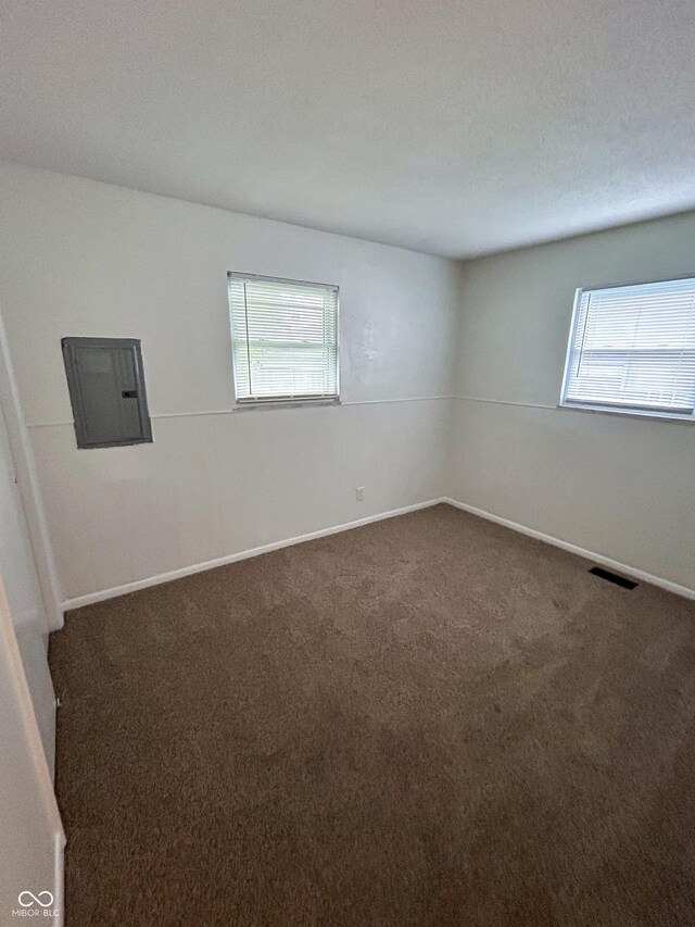1653 Wade St, Indianapolis, IN 46203 - carpeted empty room with electric panel, plenty of natural light, and baseboards