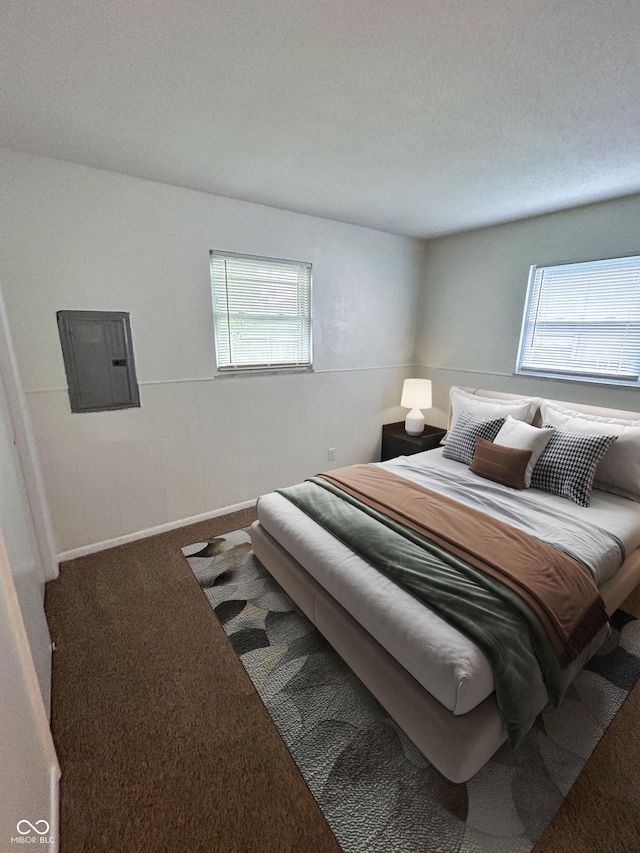1653 Wade St, Indianapolis, IN 46203 - carpeted bedroom with multiple windows and electric panel