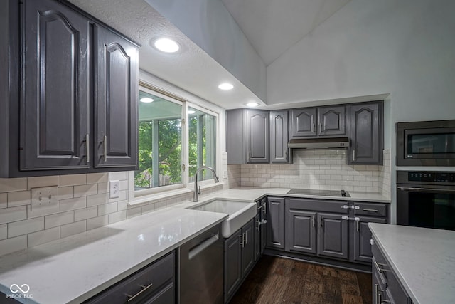 4949 Jennings Dr, Carmel, IN 46033 - kitchen featuring appliances with stainless steel finishes, a sink, dark wood finished floors, lofted ceiling, and backsplash