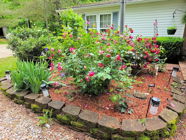 8310 Dog Trot Ln, Morgantown, IN 46160 - view of yard